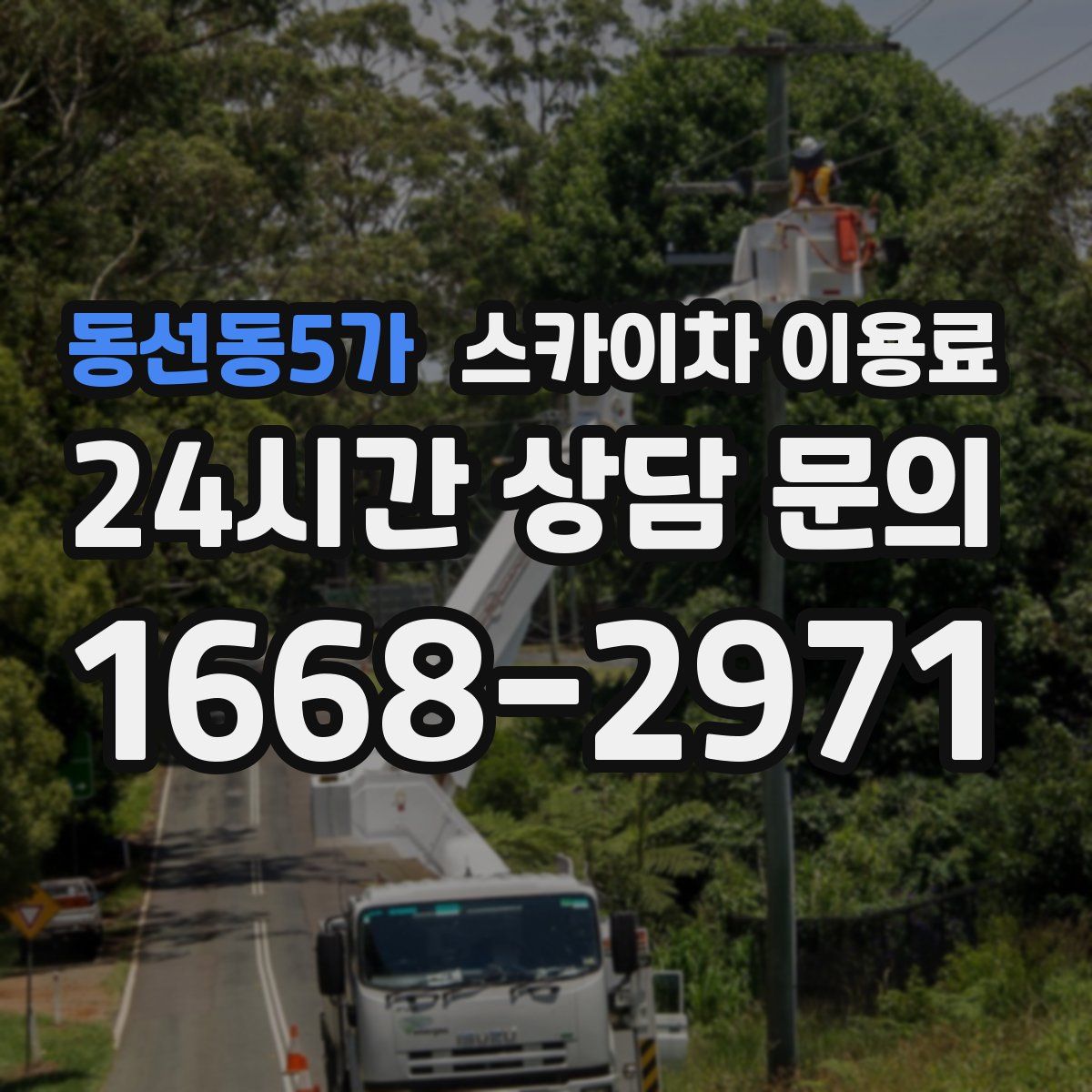 동선동5가 스카이차 이용료