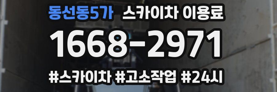 동선동5가 스카이차 이용료