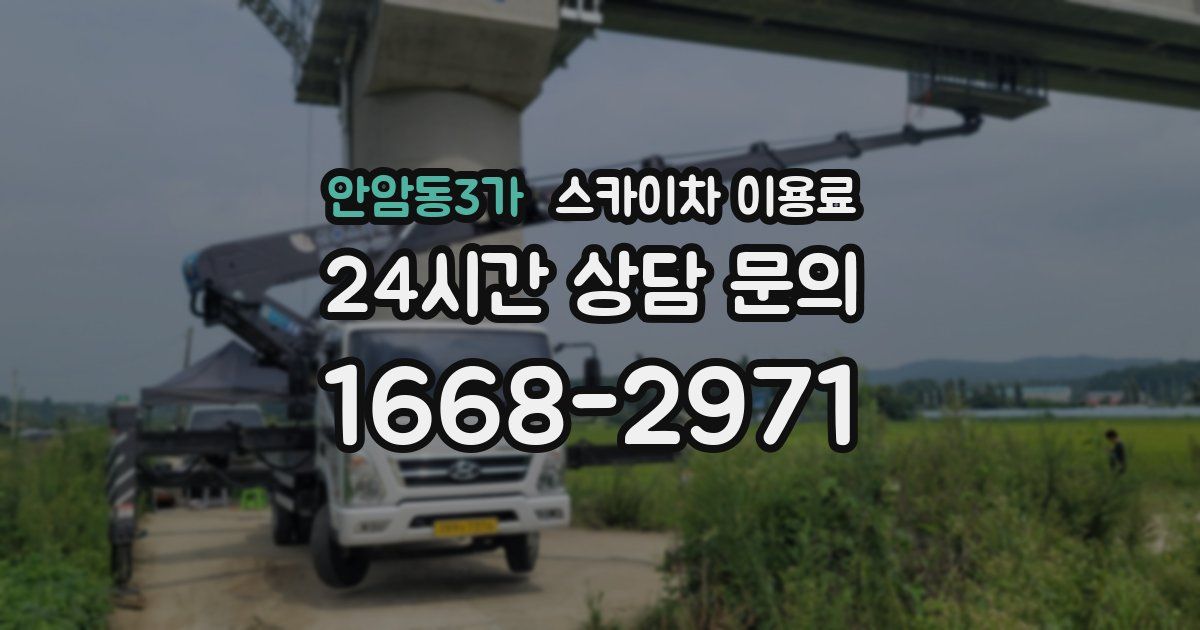 안암동3가 스카이차 이용료