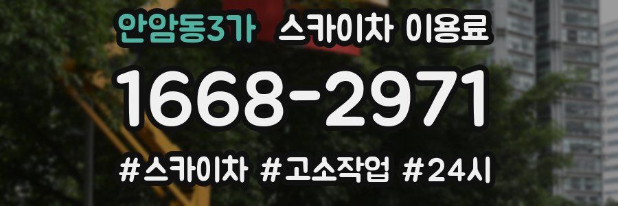 안암동3가 스카이차 이용료