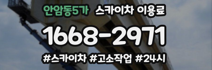 안암동5가 스카이차 이용료