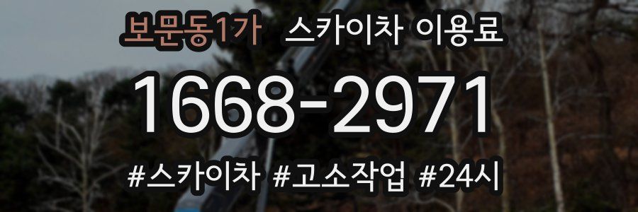 보문동1가 스카이차 이용료