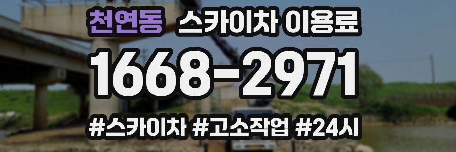 천연동 스카이차 이용료