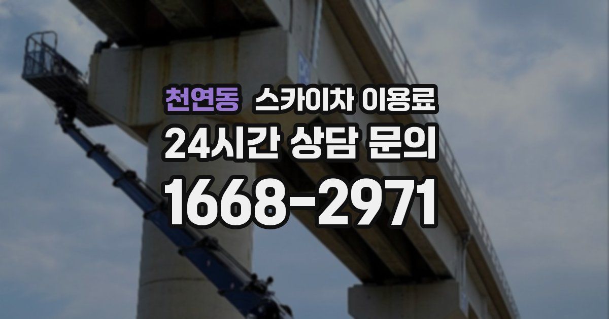 천연동 스카이차 이용료