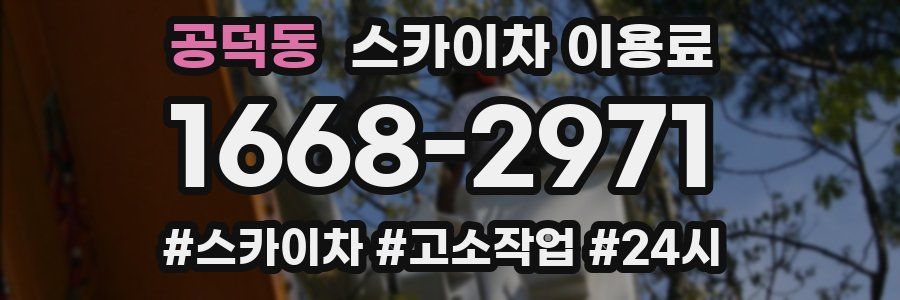 공덕동 스카이차 이용료