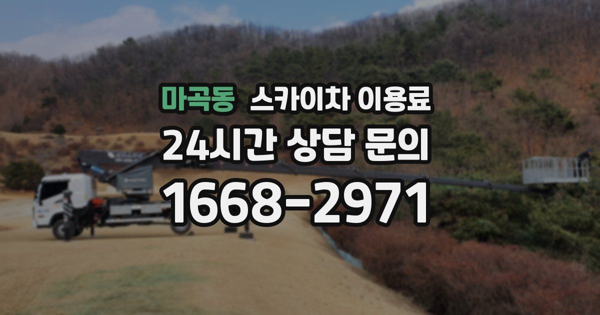 마곡동 스카이차 이용료