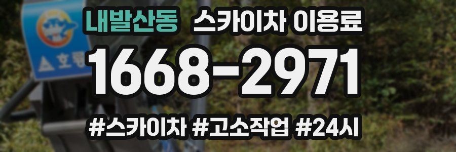 내발산동 스카이차 이용료