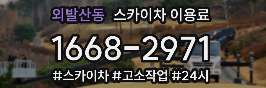 외발산동 스카이차 이용료