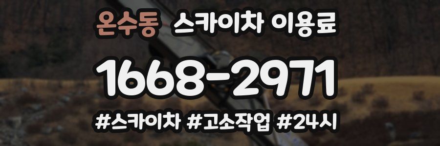 온수동 스카이차 이용료