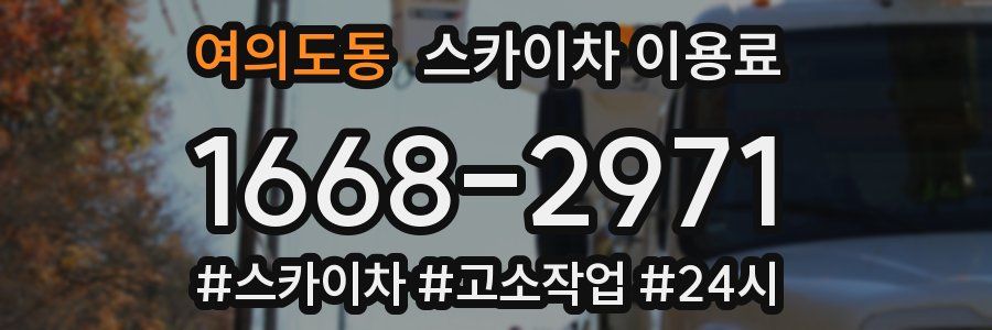 여의도동 스카이차 이용료