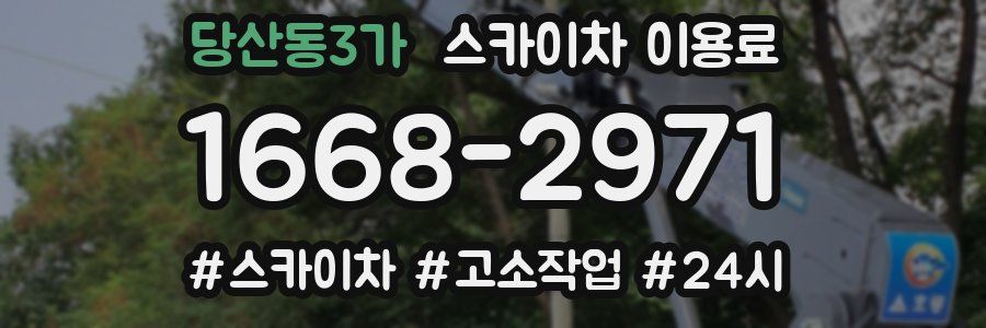 당산동3가 스카이차 이용료