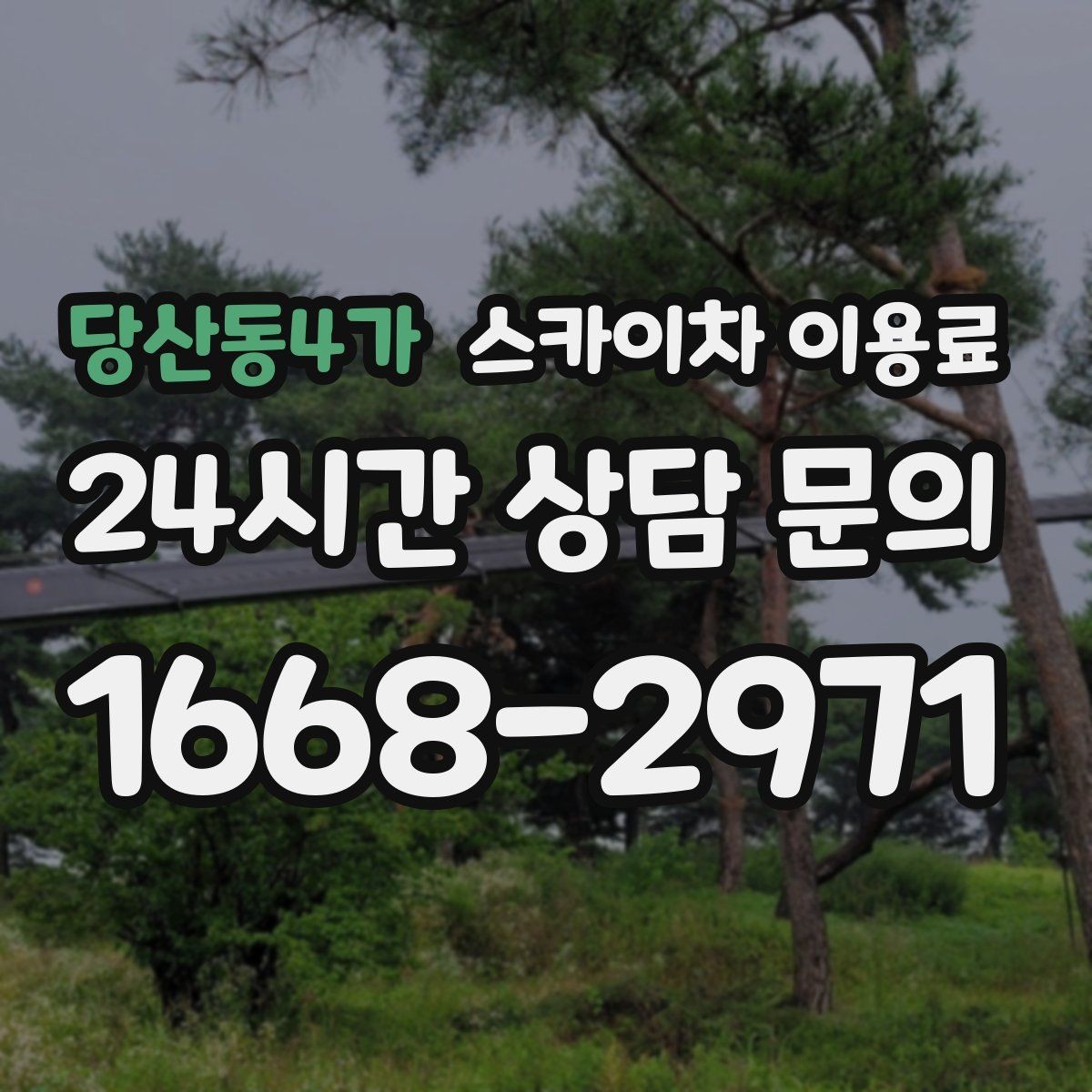 당산동4가 스카이차 이용료 문의 시 자주 받는 질문 모음