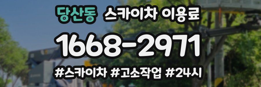 당산동 스카이차 이용료