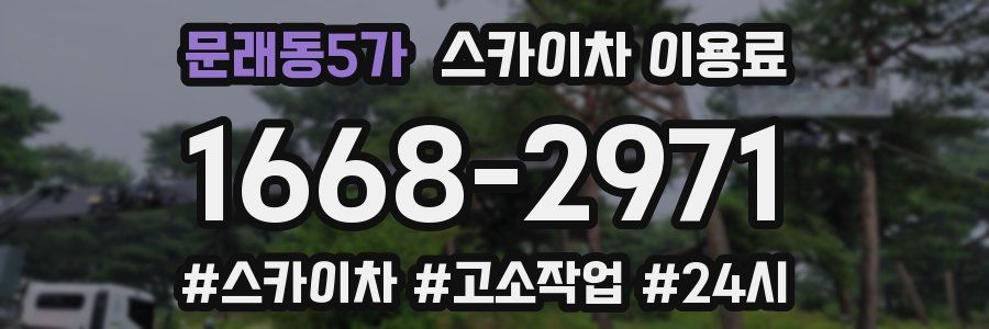 문래동5가 스카이차 이용료