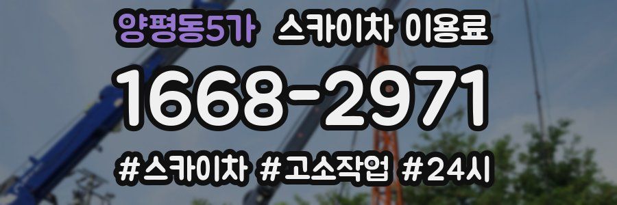 양평동5가 스카이차 이용료
