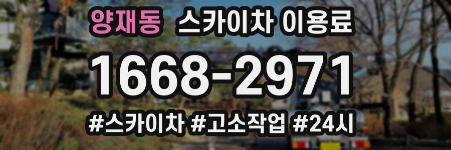 양재동 스카이차 이용료