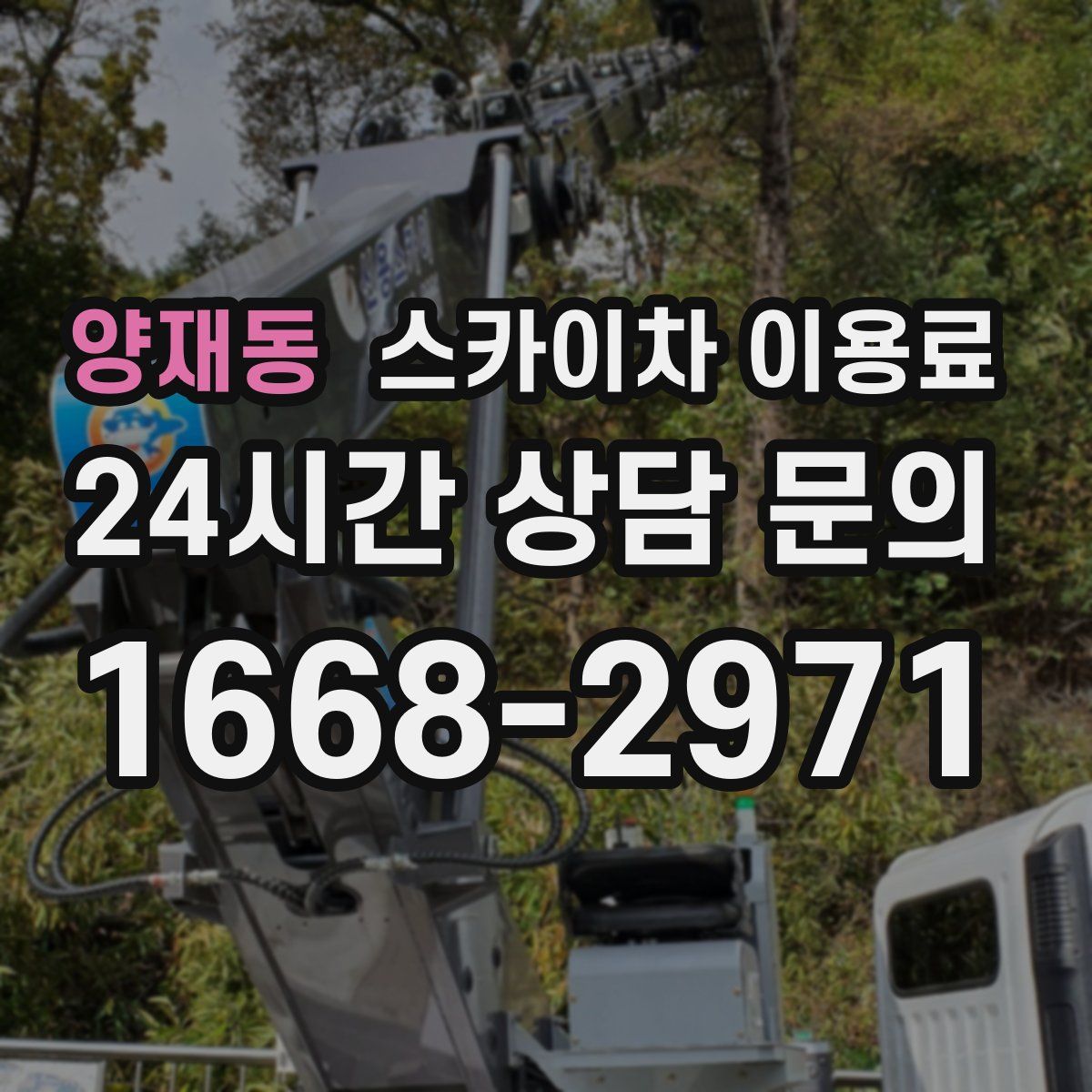 양재동 스카이차 이용료