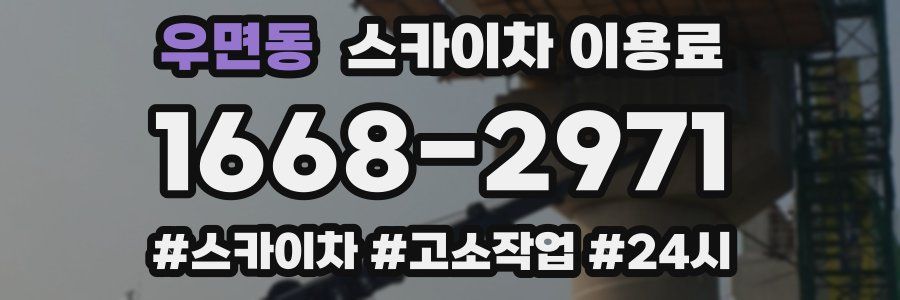 우면동 스카이차 이용료