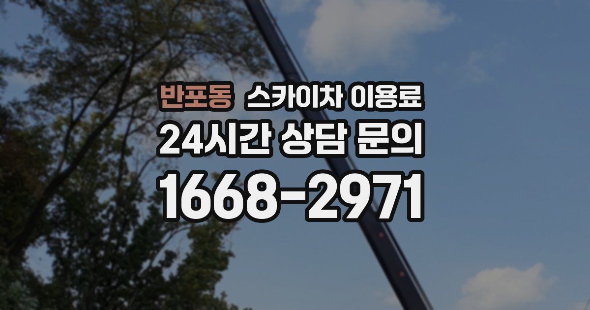 반포동 스카이차 이용료