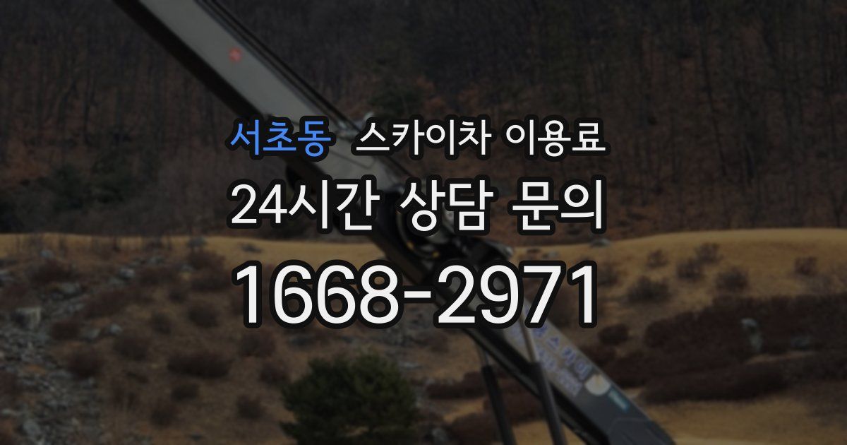 서초동 스카이차 이용료