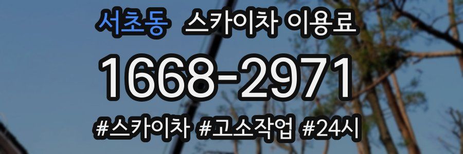 서초동 스카이차 이용료