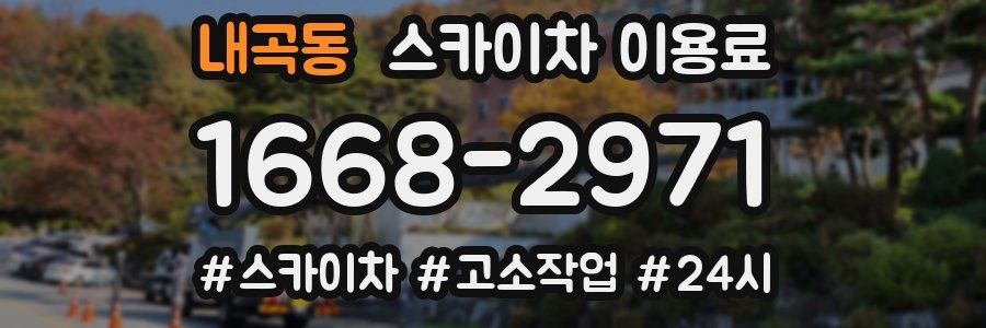 내곡동 스카이차 이용료