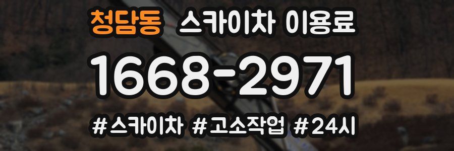 청담동 스카이차 이용료