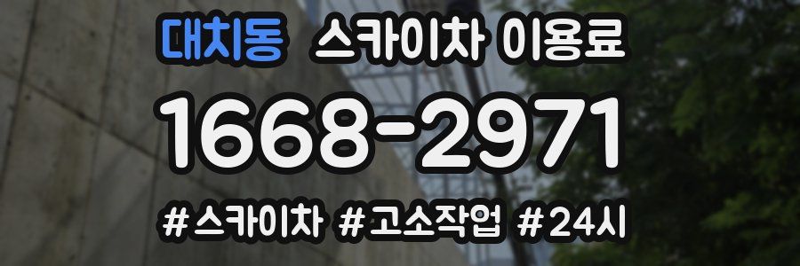 대치동 스카이차 이용료