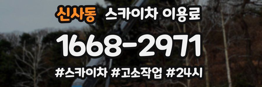 신사동 스카이차 이용료