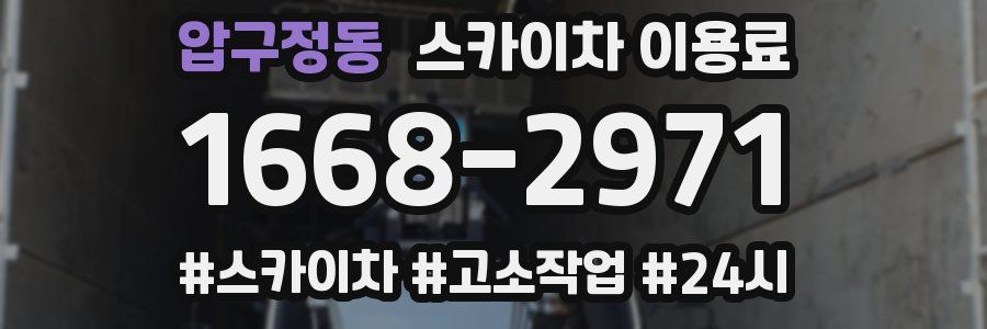 압구정동 스카이차 이용료