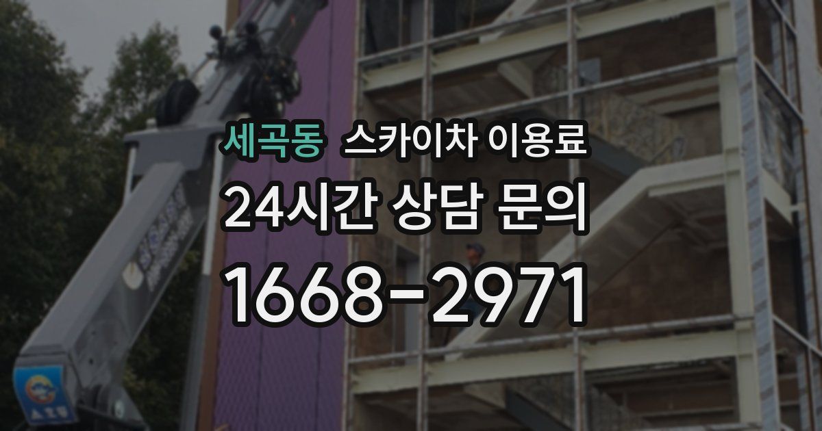 세곡동 스카이차 이용료