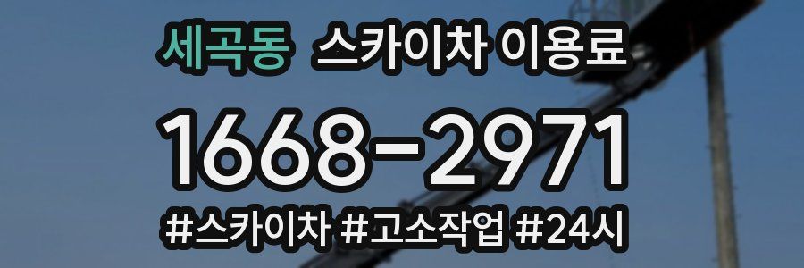 세곡동 스카이차 이용료