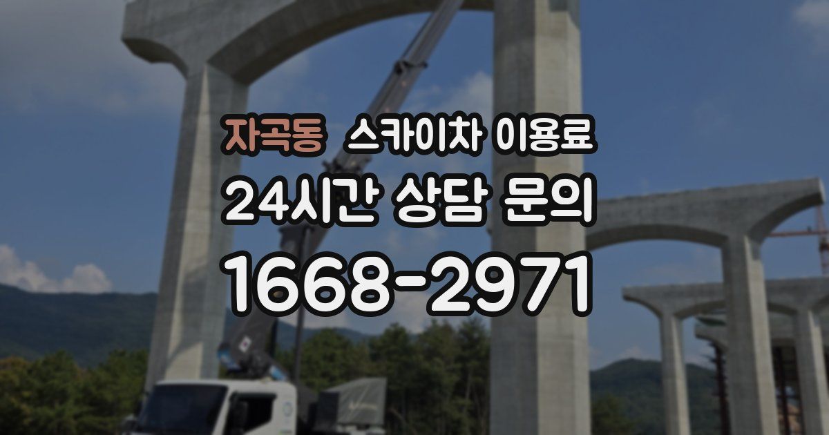 자곡동 스카이차 이용료