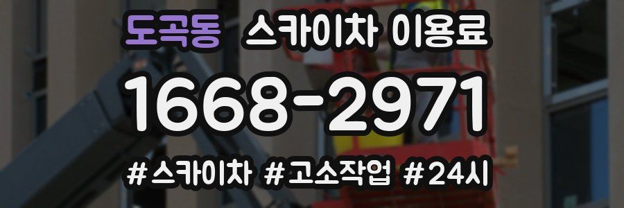 도곡동 스카이차 이용료
