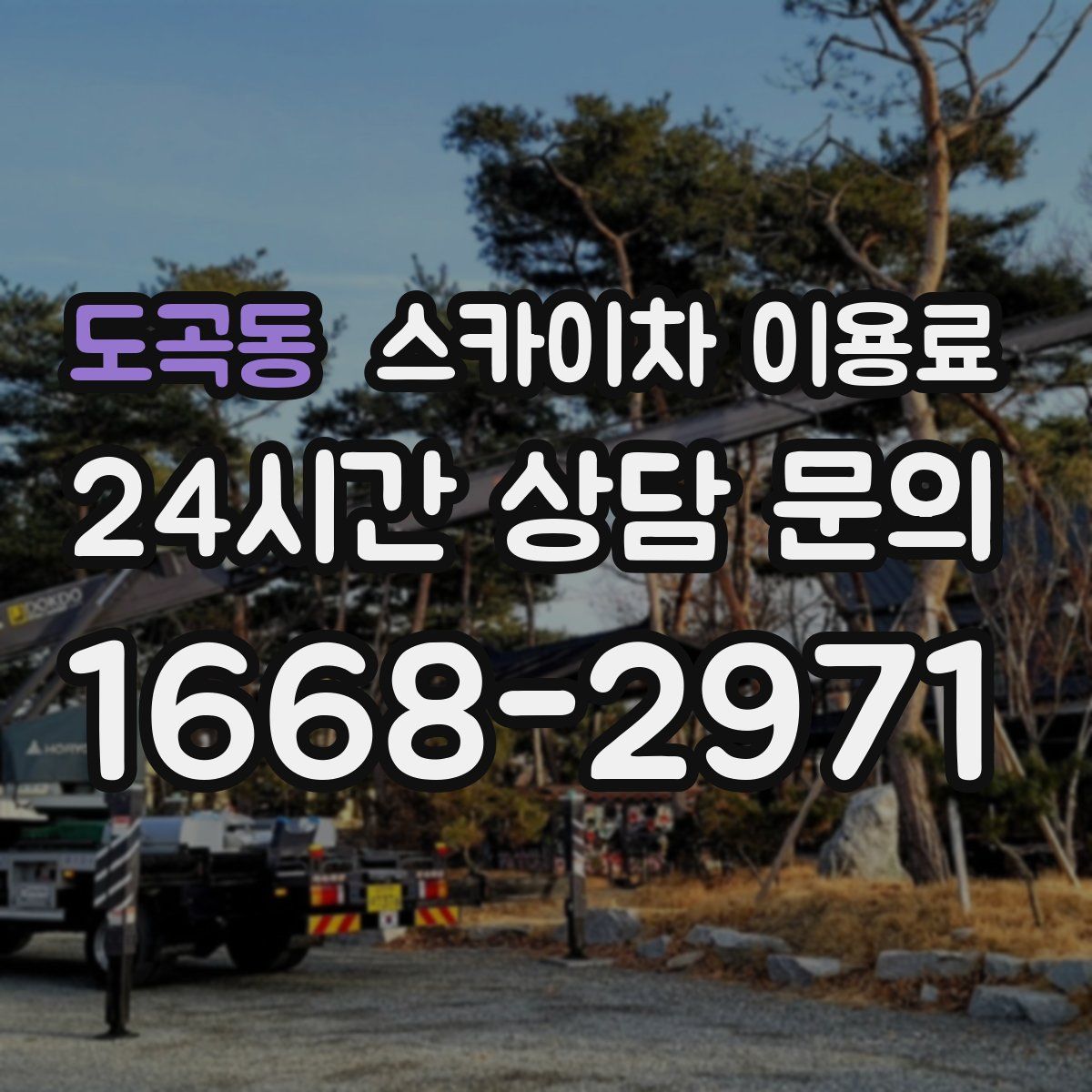 도곡동 스카이차 이용료