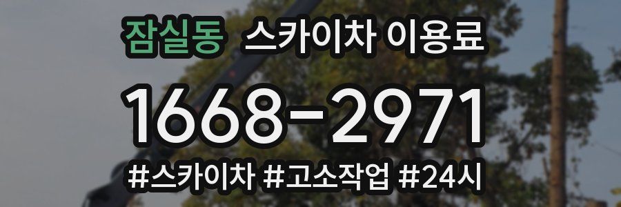 잠실동 스카이차 이용료