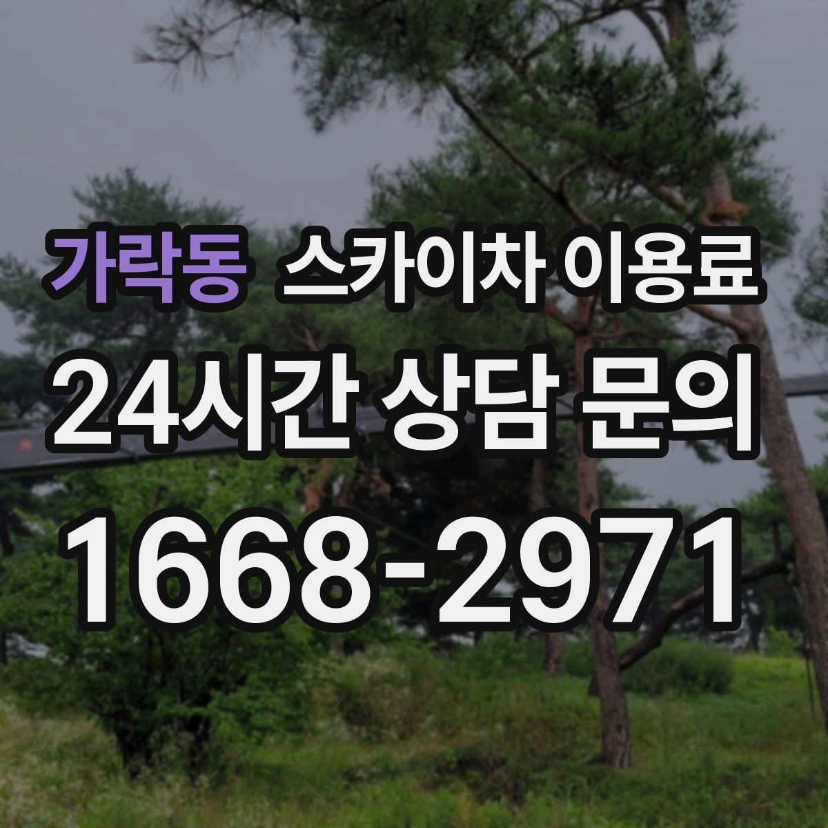 가락동 스카이차 이용료