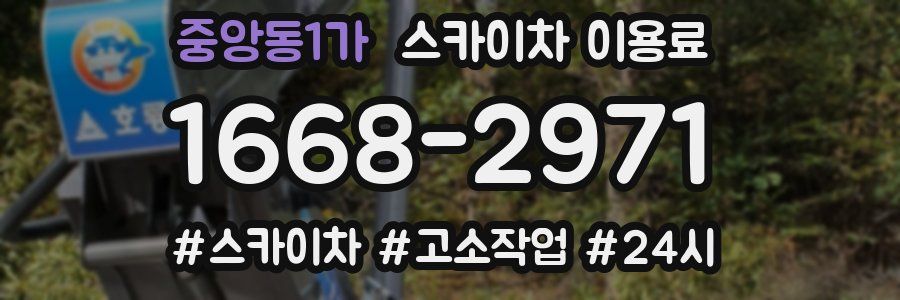 중앙동1가 스카이차 이용료