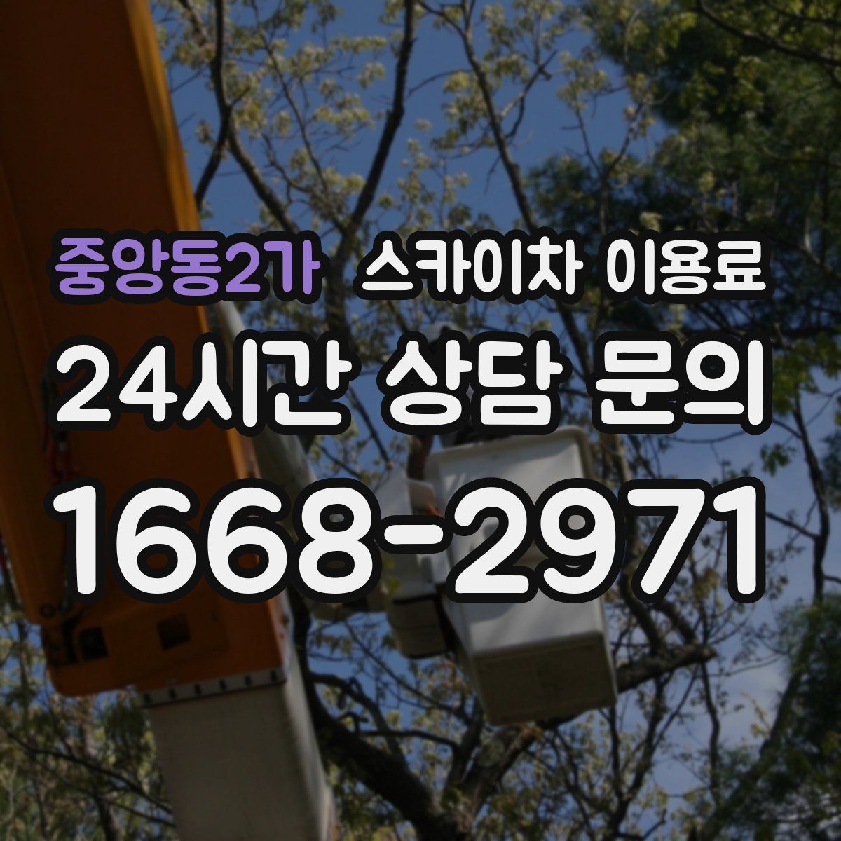 중앙동2가 스카이차 이용료