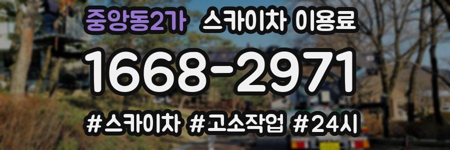 중앙동2가 스카이차 이용료