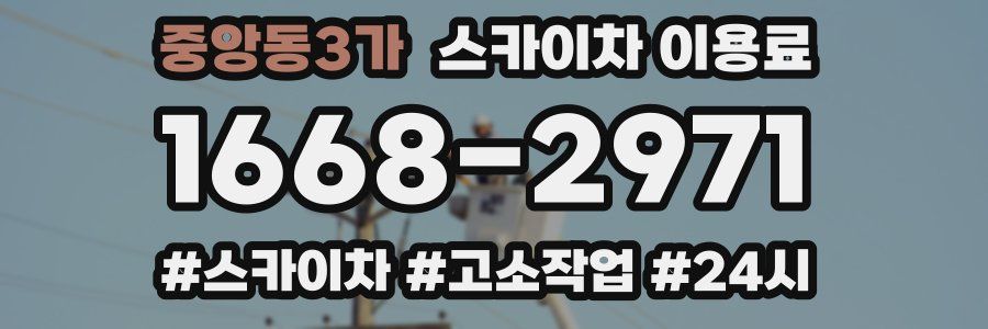 중앙동3가 스카이차 이용료