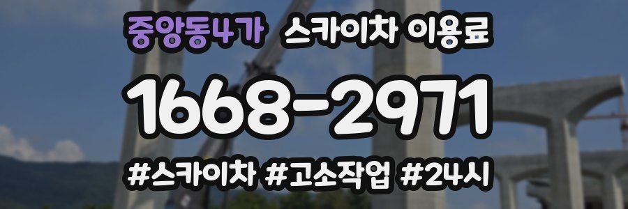 중앙동4가 스카이차 이용료