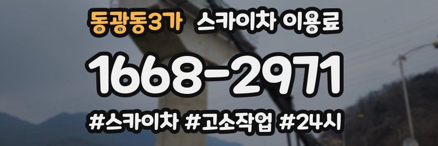동광동3가 스카이차 이용료