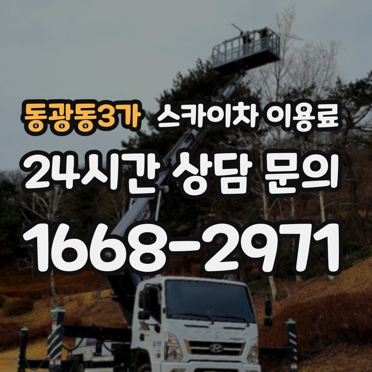 동광동3가 스카이차 이용료
