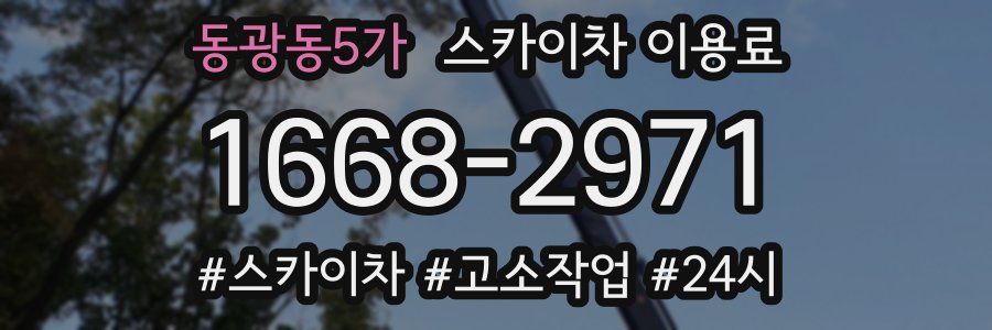 동광동5가 스카이차 이용료