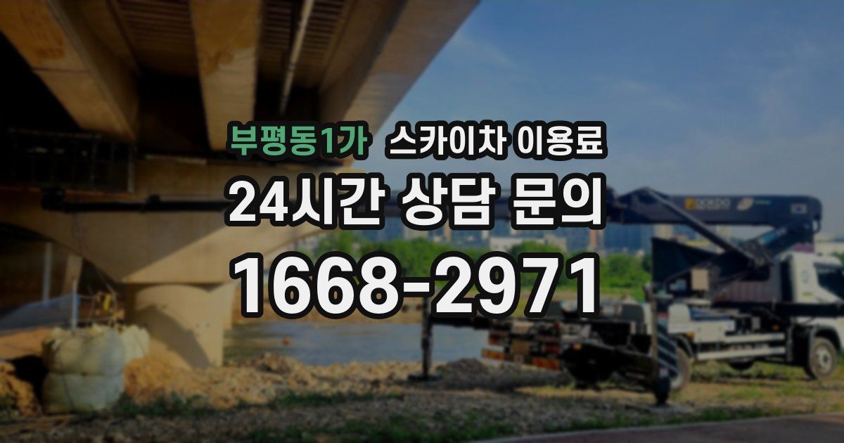 부평동1가 스카이차 이용료