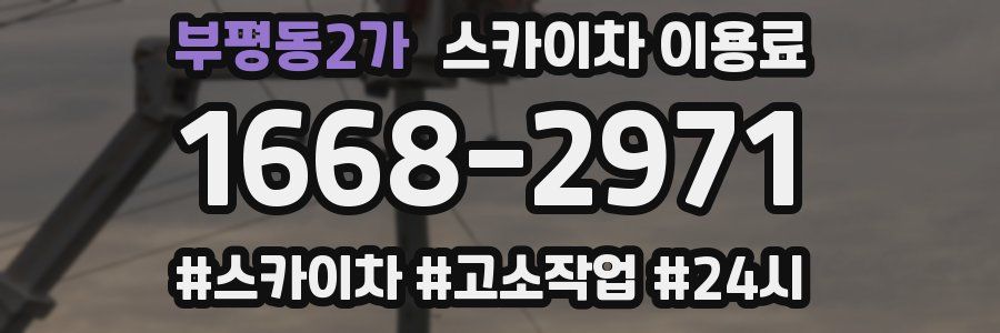 부평동2가 스카이차 이용료