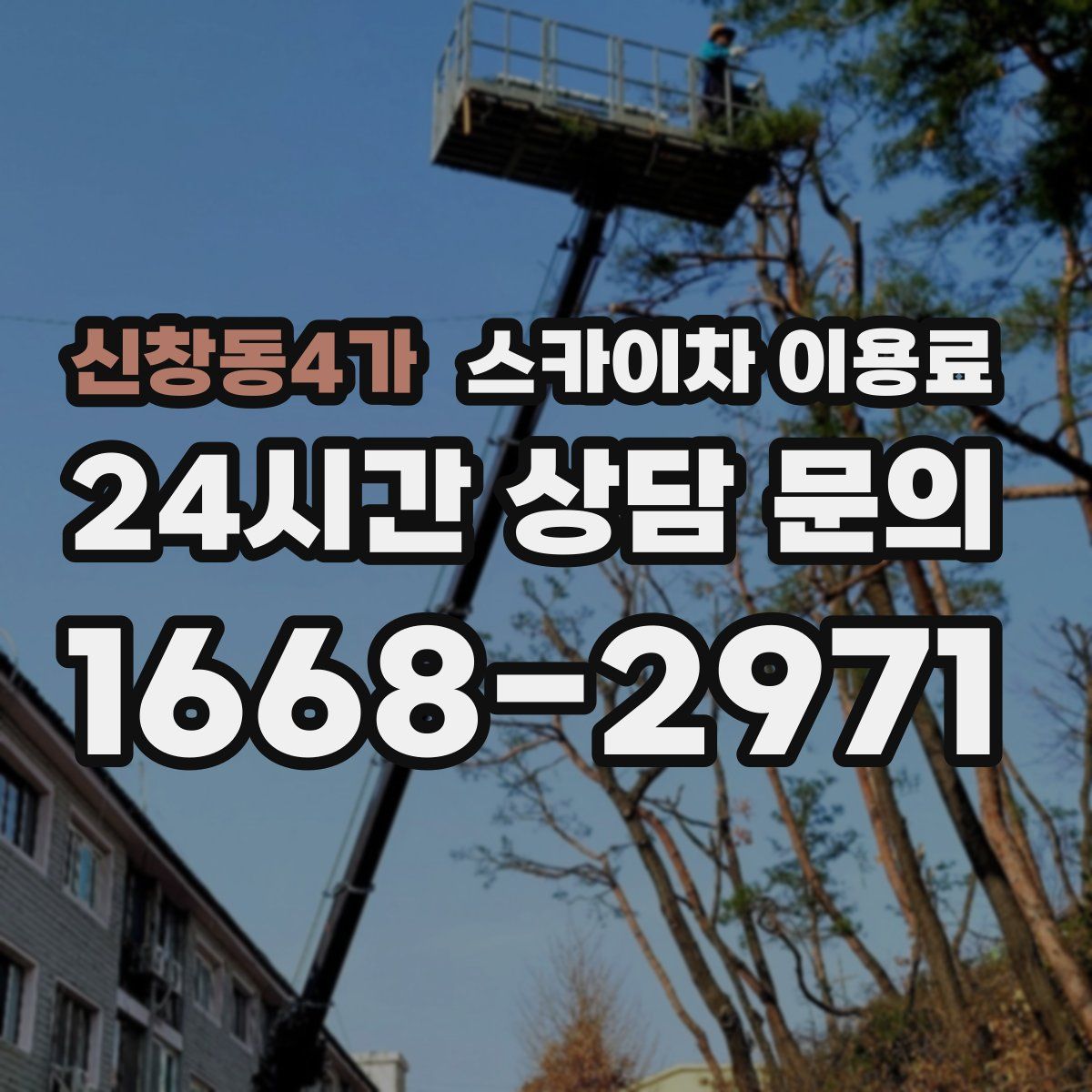 신창동4가 스카이차 이용료