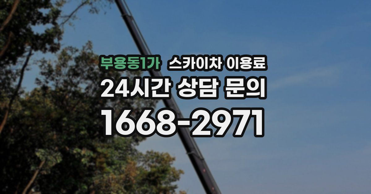 부용동1가 스카이차 이용료