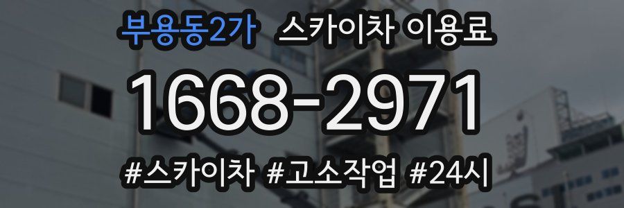 부용동2가 스카이차 이용료